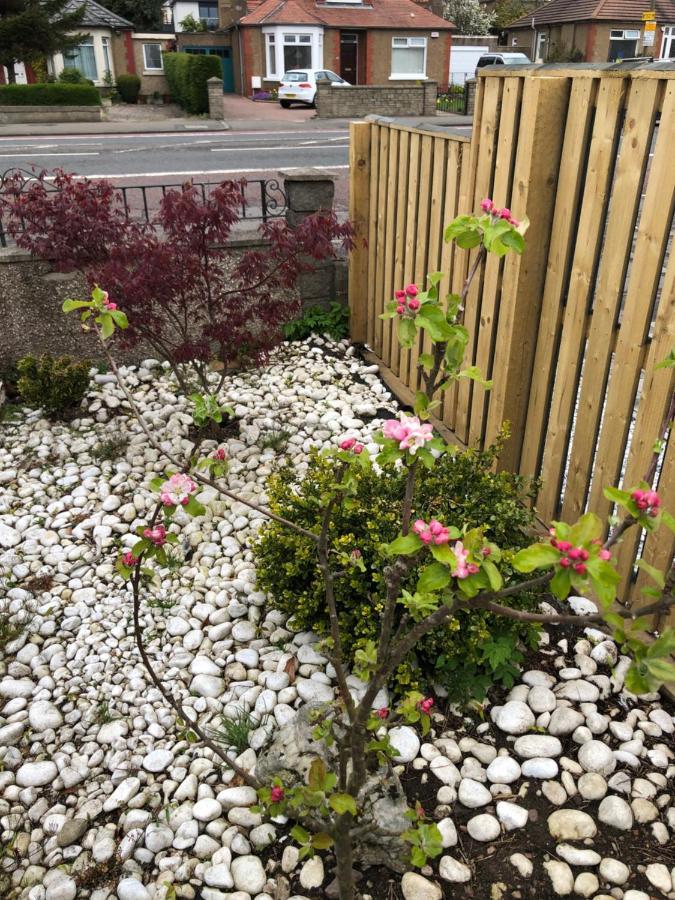Netherby Guest House Edimburgo Esterno foto